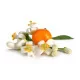 Esenciálny olej, 100% čistý - Pomarančový kvet (neroli)
